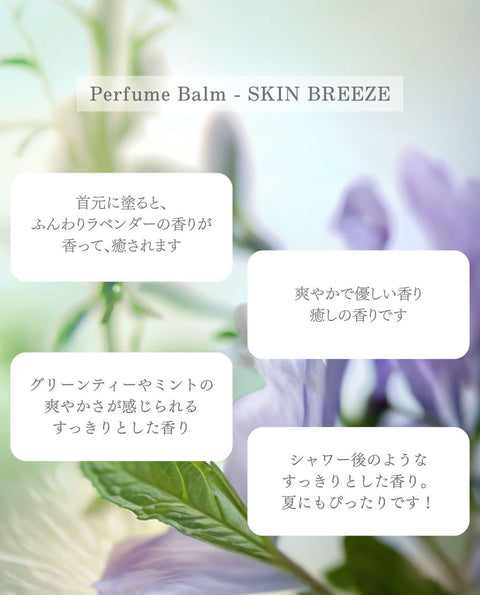 限量版-整套